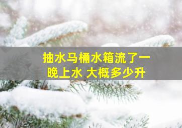 抽水马桶水箱流了一晚上水 大概多少升